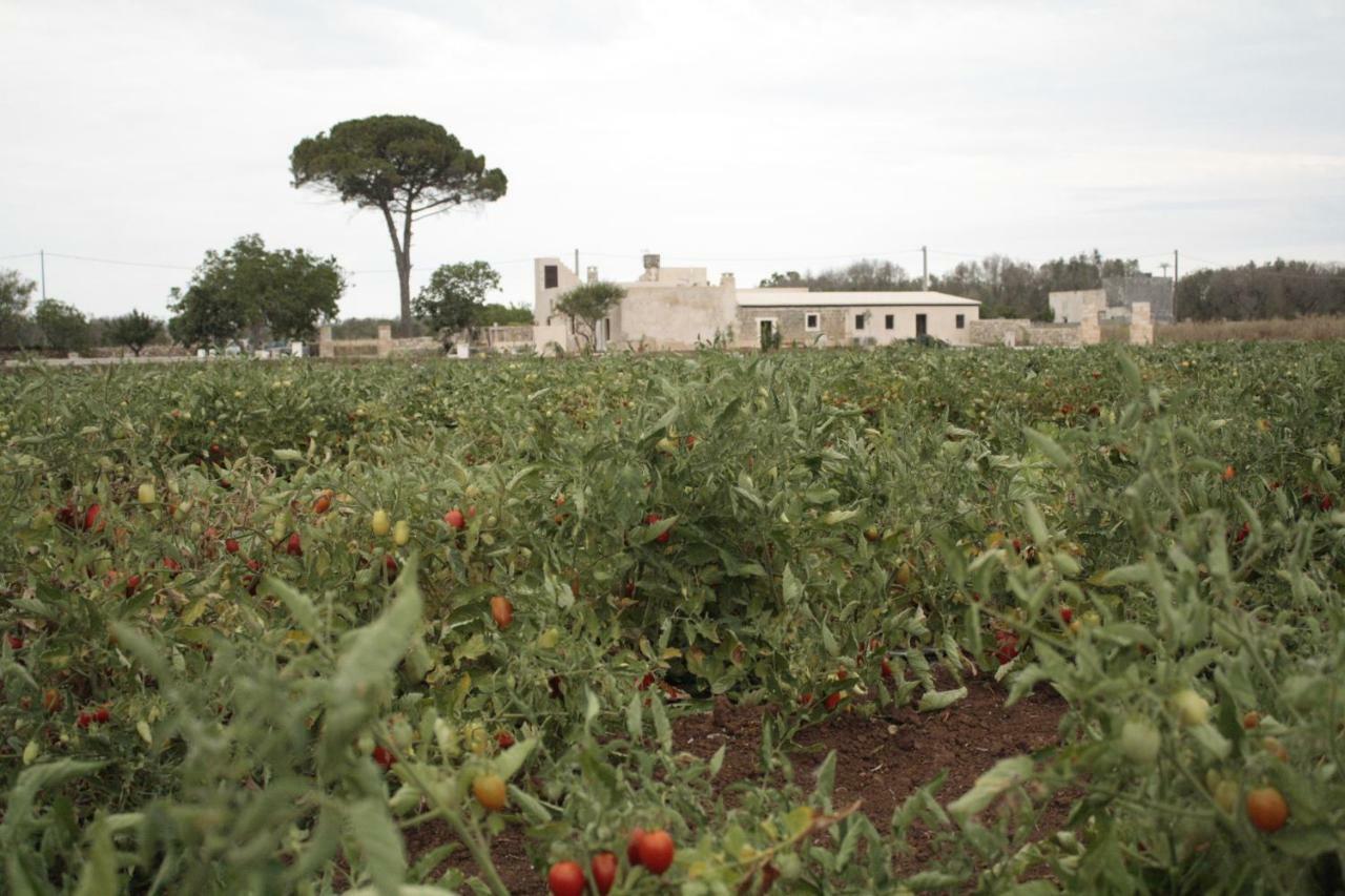 Casina Solatia Bed and Breakfast Nardò Buitenkant foto